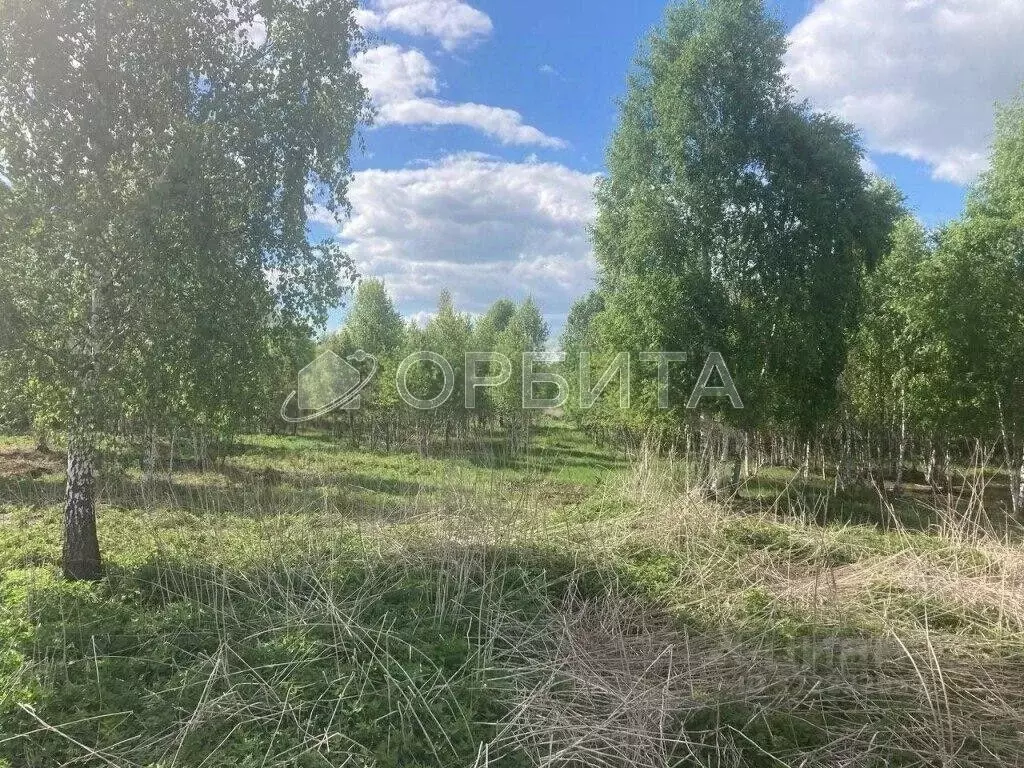 Участок в Тюменская область, Нижнетавдинский муниципальный округ, У ... - Фото 2