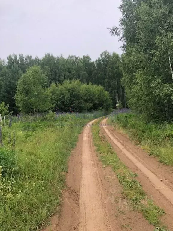 Участок в Нижегородская область, Сокольский городской округ, д. ... - Фото 0