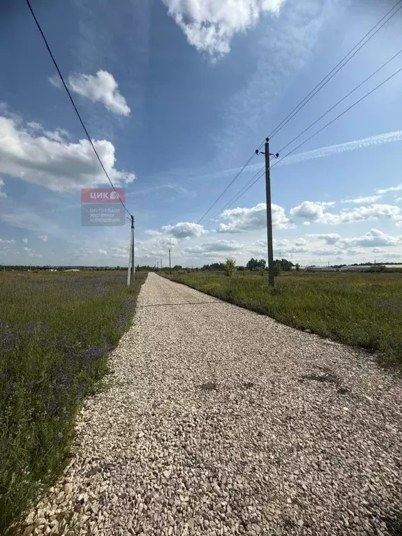 Участок в Рязанская область, Рязанский район, Вышгородское с/пос, ... - Фото 2
