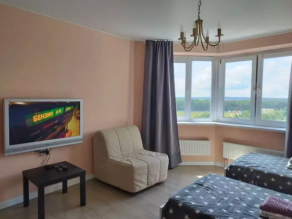 1-к кв. Московская область, Домодедово Южный мкр, ул. ... - Фото 2