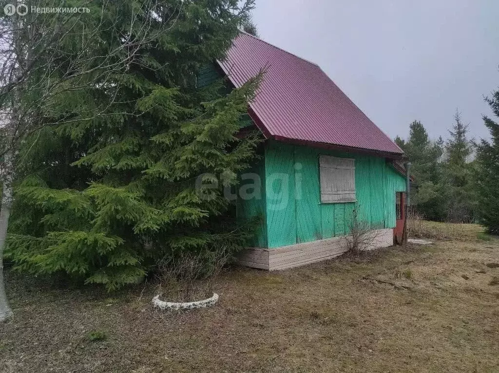 Дом в Подгорцевское сельское поселение, СДТ Янтарь (30 м) - Фото 1