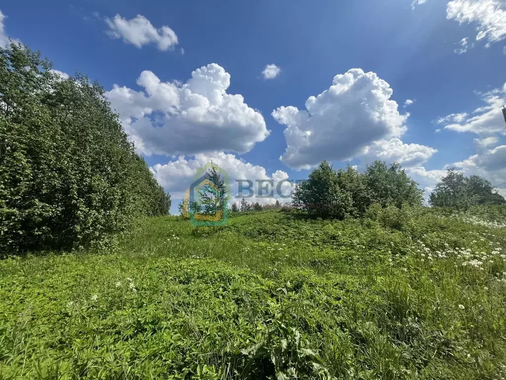 Участок в Ленинградская область, Всеволожский район, Лесколовское ... - Фото 1