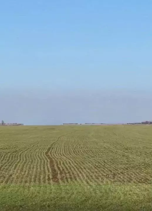Участок в Крым, Сакский район, с. Уютное  (847.0 сот.) - Фото 1