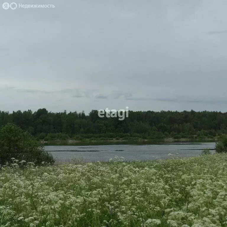 участок в приозерский район, ромашкинское сельское поселение, посёлок . - Фото 0