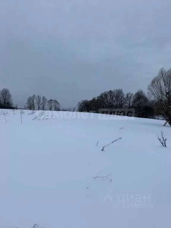 Участок в Калужская область, Калуга городской округ, д. Сивково  (1.0 ... - Фото 1