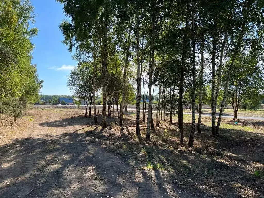 Участок в Московская область, Подольск городской округ, Пузиково кп 12 ... - Фото 2