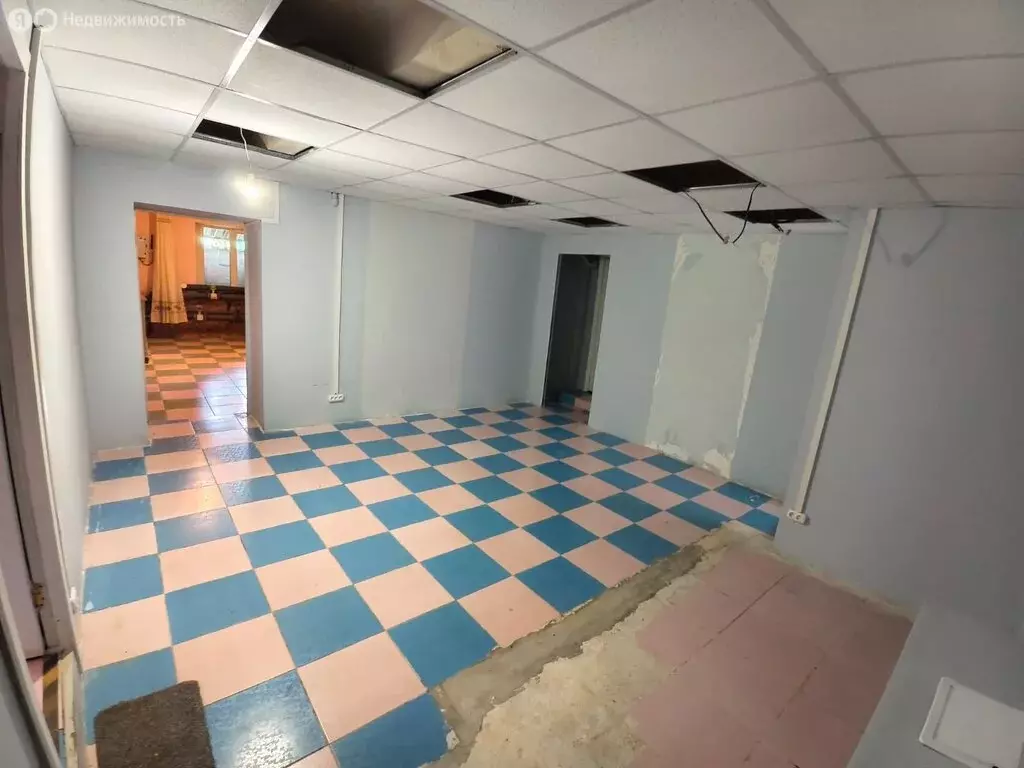Помещение свободного назначения (63.8 м) - Фото 1