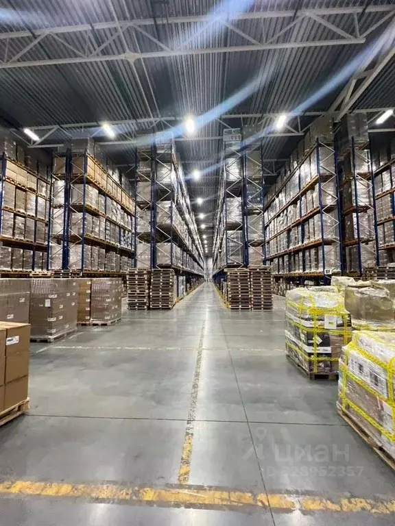 Склад в Московская область, Солнечногорск городской округ, д. ... - Фото 2