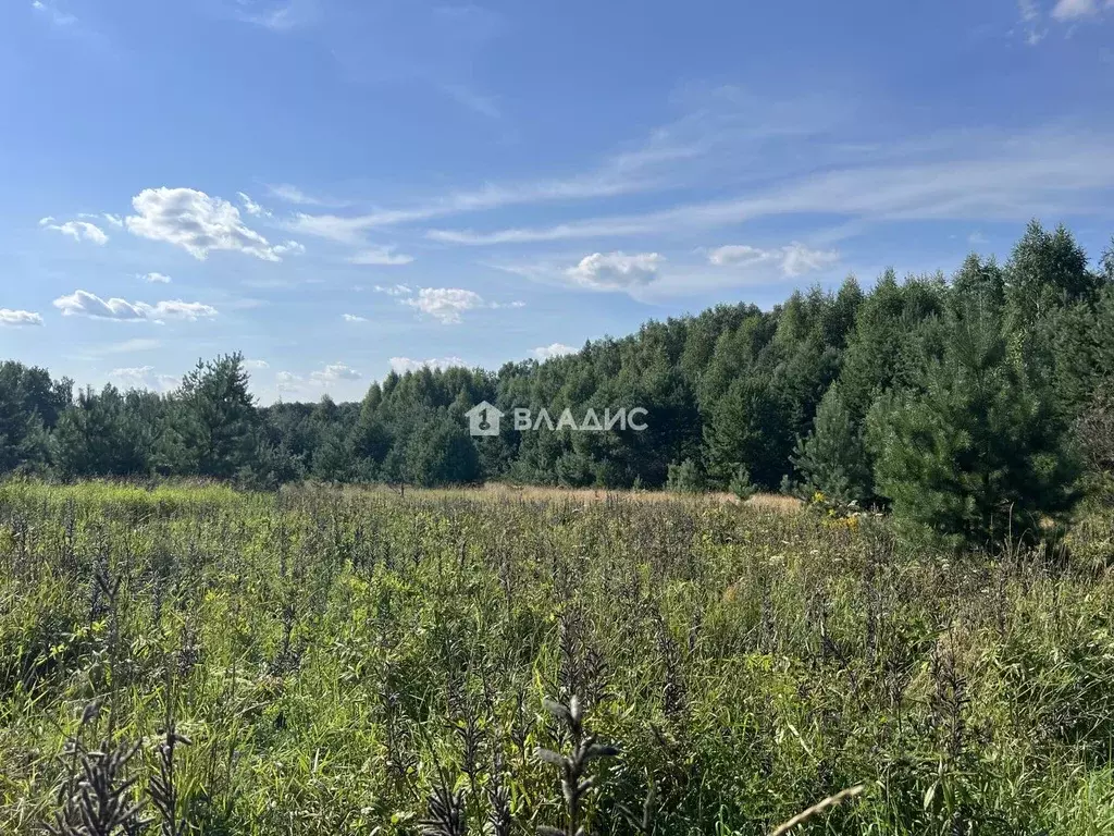 Участок в Владимирская область, Судогодский муниципальный округ, с. ... - Фото 1
