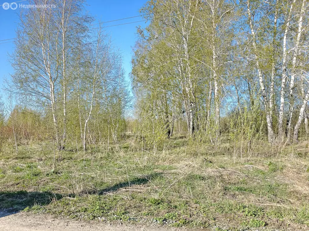 Участок в Новосибирск, 2-й Биатлонный переулок (10 м) - Фото 1