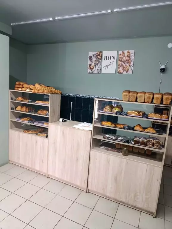 Помещение свободного назначения в Мордовия, пос. Ромоданово ул. ... - Фото 1