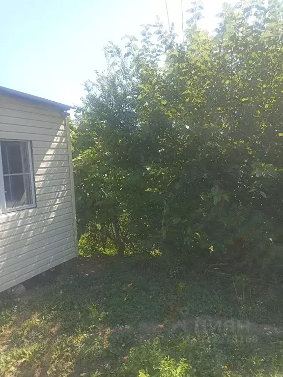 Дом в Краснодарский край, Сочи городской округ, с. Черешня ул. ... - Фото 1