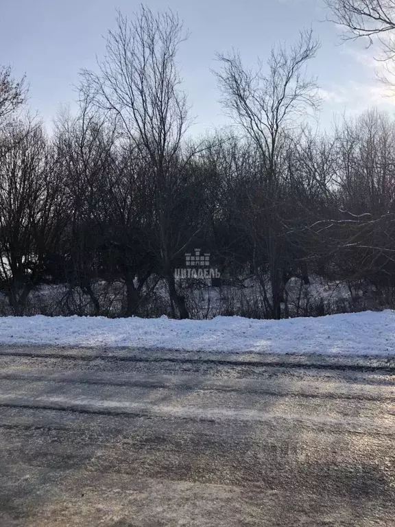 Участок в Воронежская область, Нижнетуровское с/пос, с. Нижнее Турово  ... - Фото 2