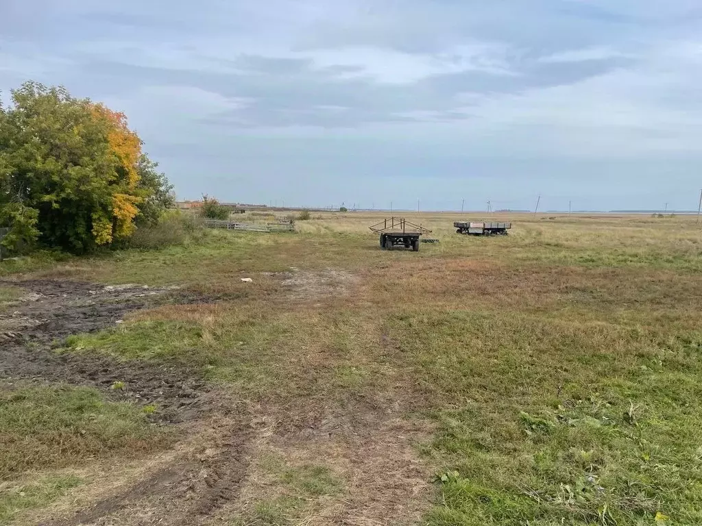 Участок в Новосибирская область, Ордынский район, с. Новопичугово ул. ... - Фото 1