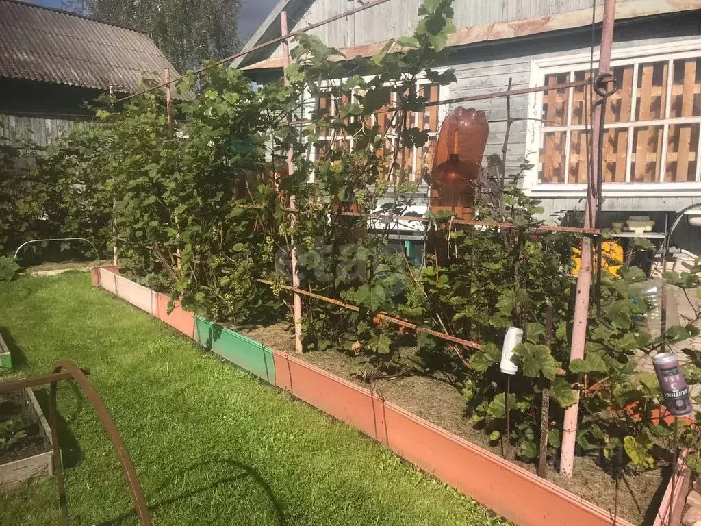 Дом в Тверская область, Тверь За Мир садовое товарищество, ул. 1-я, 19 ... - Фото 1