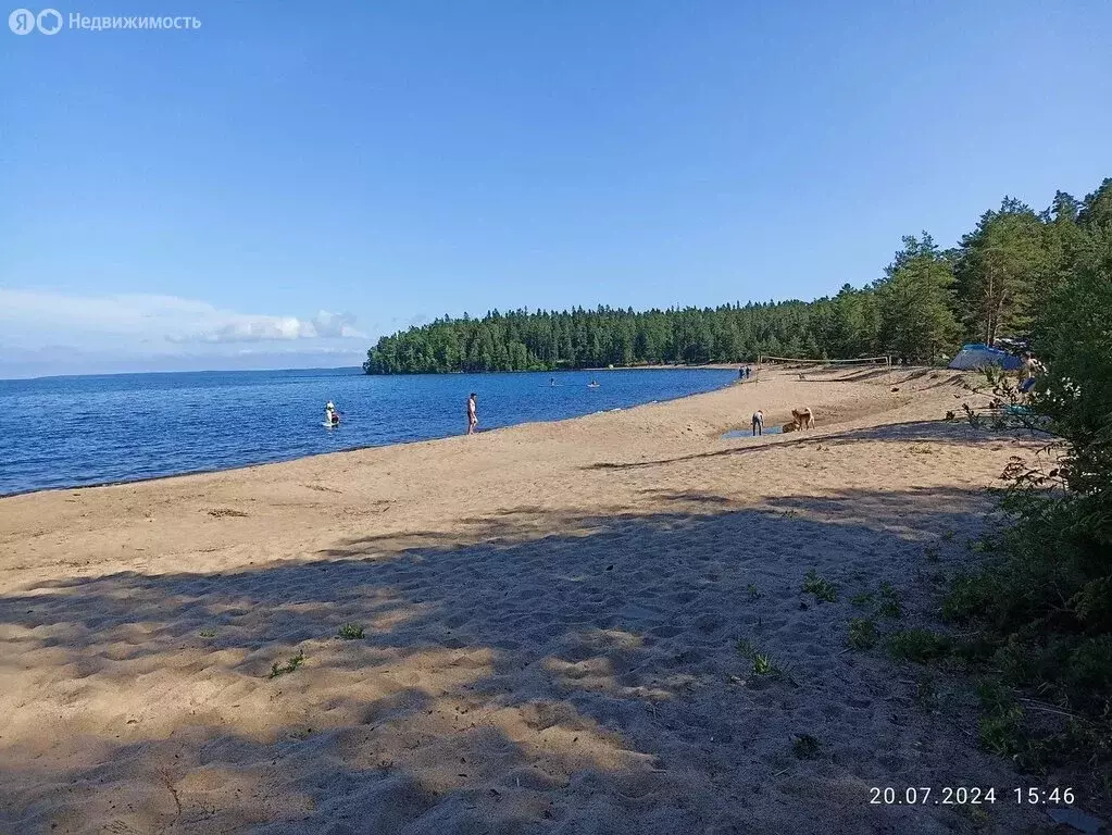 Участок в Ларионовское сельское поселение, СНТ Астра, 52 (8 м) - Фото 1