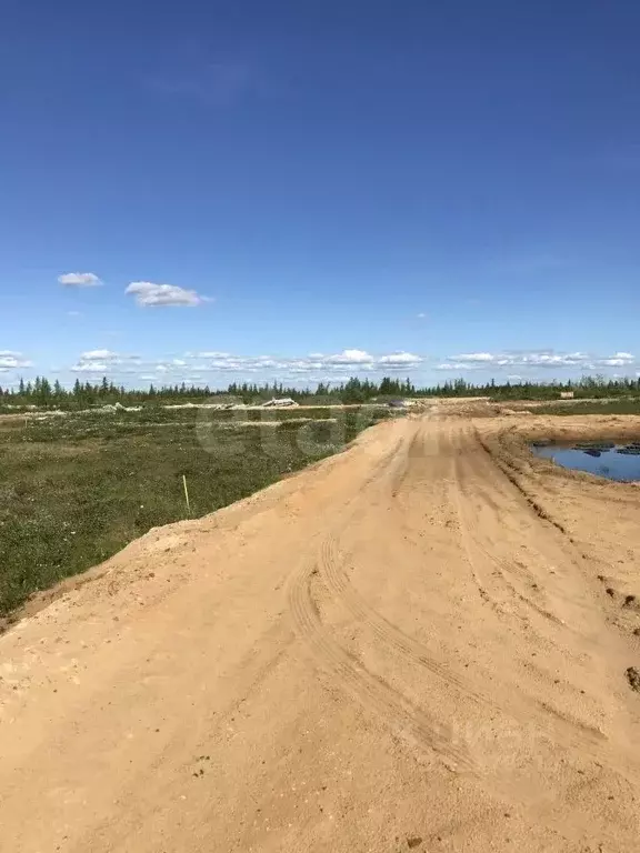 Участок в Ямало-Ненецкий АО, Новый Уренгой ул. 2-я Каскадная, 11 (6.0 ... - Фото 2