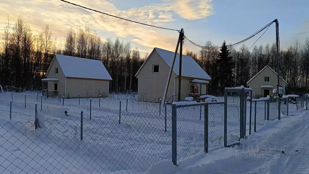 Дом в Ленинградская область, Гатчинский муниципальный округ, д. Бор ... - Фото 2