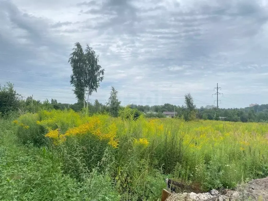 Участок в Брянская область, Брянский район, Снежское с/пос, с. ... - Фото 1