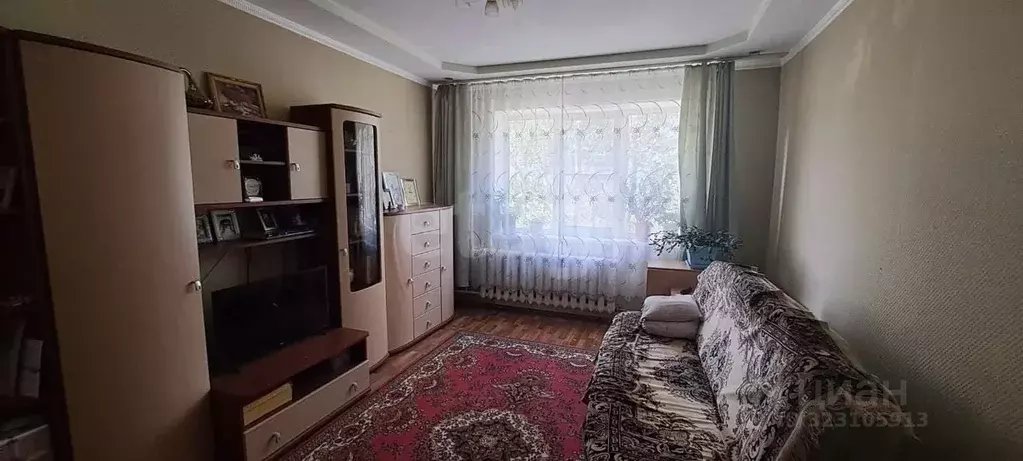 3-к кв. Челябинская область, Касли ул. Ленина, 12 (61.7 м) - Фото 1