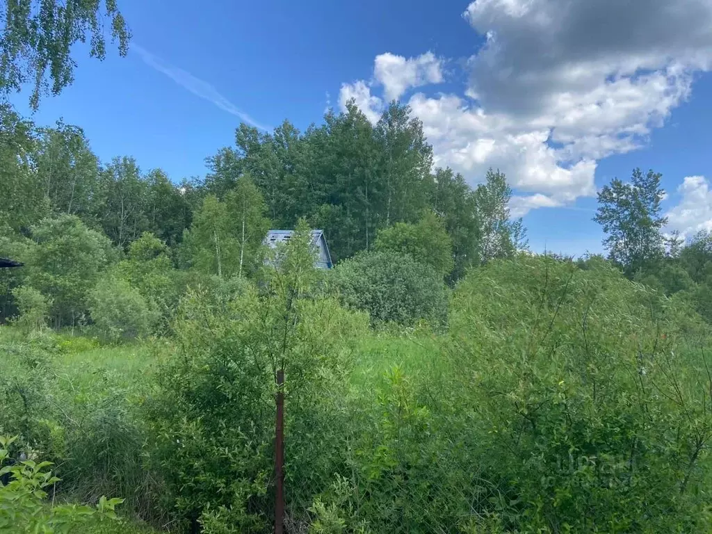 Участок в Калужская область, Перемышльский район, Большие Козлы с/пос, ... - Фото 2