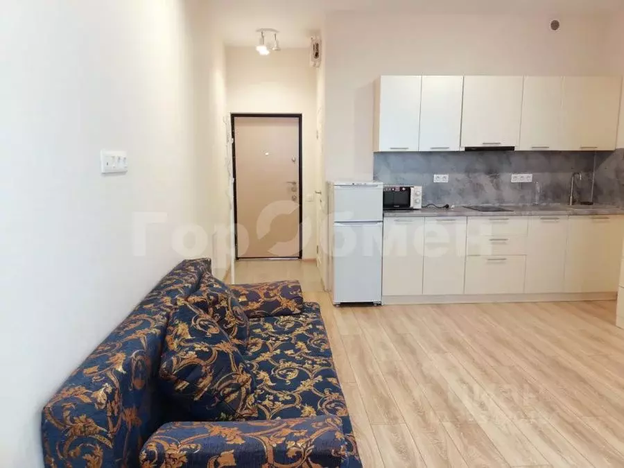 Студия Москва Родниковая ул., 30к1 (24.3 м) - Фото 0