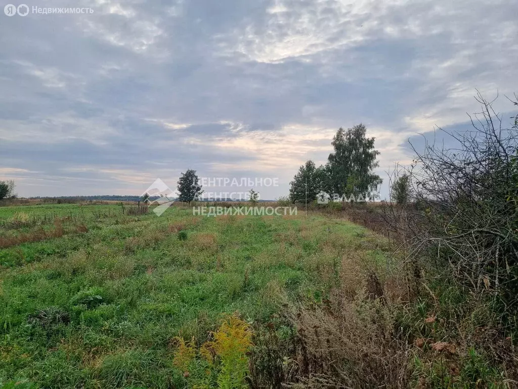 участок в рязанский район, вышгородское сельское поселение, деревня . - Фото 0