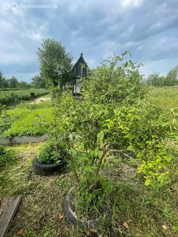 Дом в Некрасовка, СНТ Некрасовец (20 м) - Фото 0