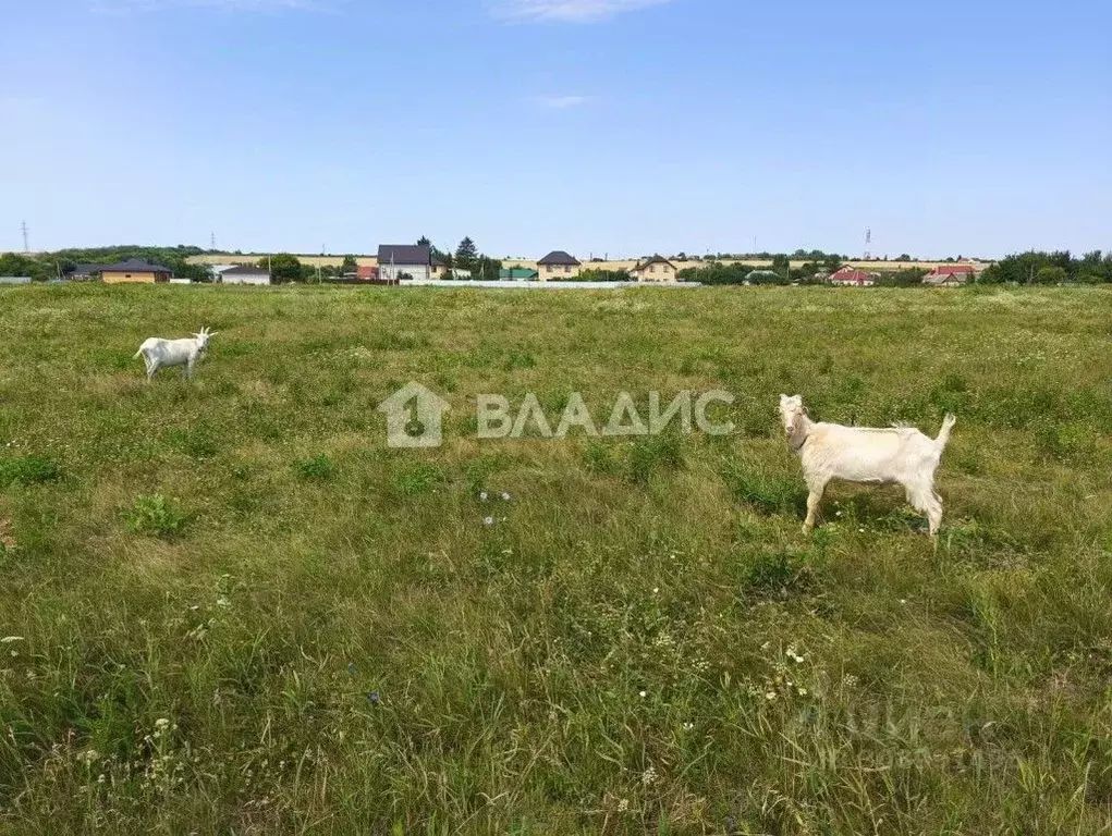 Участок в Липецкая область, Липецкий муниципальный округ, с. Троицкое ... - Фото 0