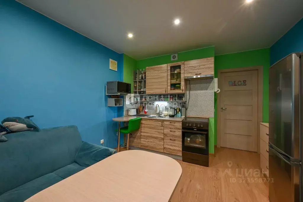 Студия Санкт-Петербург просп. Энергетиков, 9К1 (25.0 м) - Фото 2