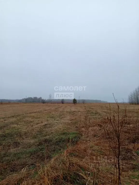 Участок в Тюменская область, Тюменский район, д. Малиновка  (10.0 ... - Фото 1