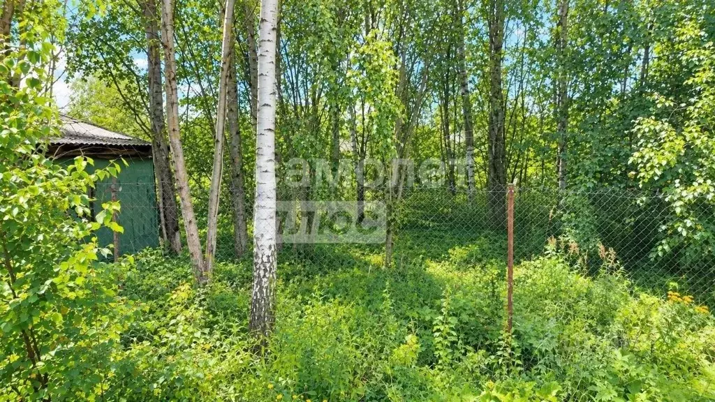 Участок в Московская область, Королев д. Комаровка, 8 (6.0 сот.) - Фото 1