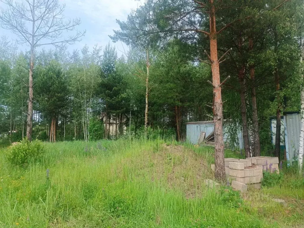 Участок в Московская область, Электрогорск Павлово-Посадский городской ... - Фото 2