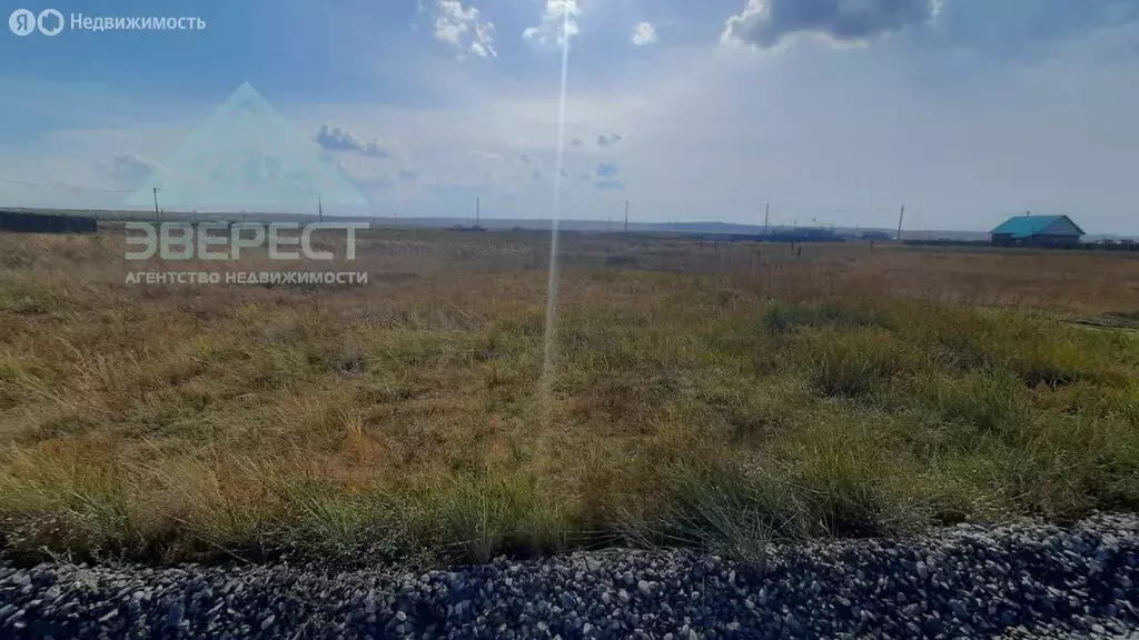 Участок в Алтайский район, село Новомихайловка (11 м) - Фото 1