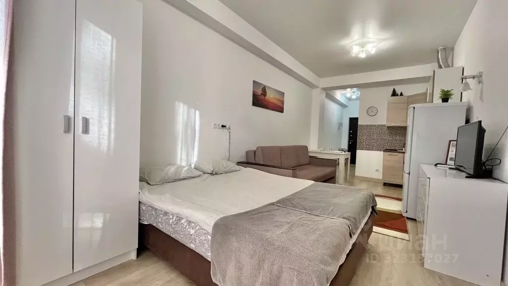 1-к кв. Краснодарский край, Сочи ул. Черноморская, 6 (35.0 м) - Фото 2