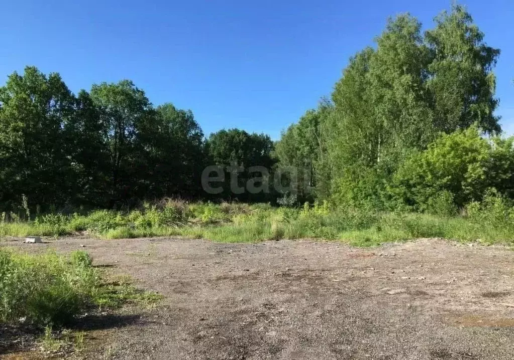 Участок в Тамбовская область, Сосновский муниципальный округ, пос. ... - Фото 2