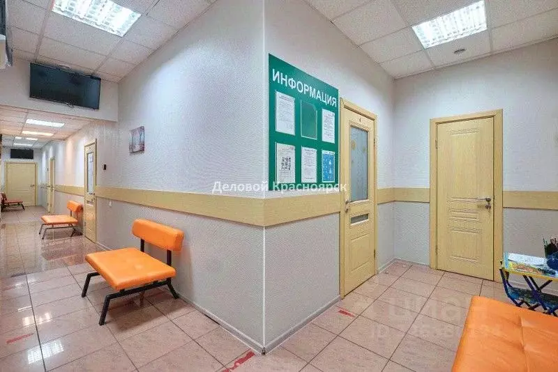 Офис в Красноярский край, Красноярск ул. Ленина, 35 (270 м) - Фото 2