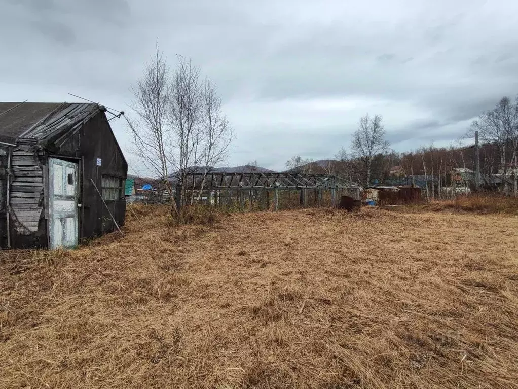 Участок в Камчатский край, Елизовский муниципальный округ, Бриз СНТ  ... - Фото 1