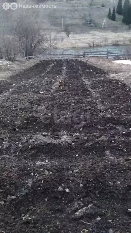 Дом в Свердловская область, муниципальный округ Нижний Тагил, село ... - Фото 2