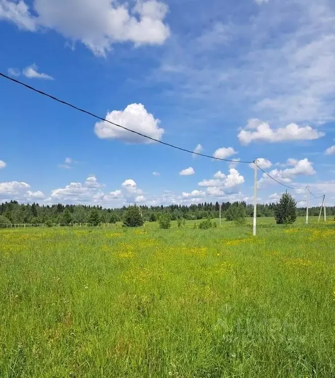 Участок в Московская область, Можайский муниципальный округ, д. ... - Фото 1