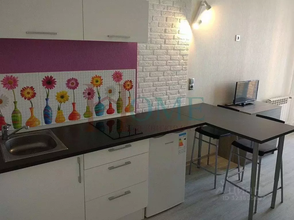 1-к кв. Новосибирская область, Новосибирск Ипподромская ул., 48 (32.0 ... - Фото 1