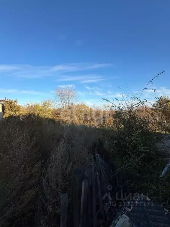 Участок в Амурская область, Благовещенск Дружба СНТ,  (6.13 сот.) - Фото 0