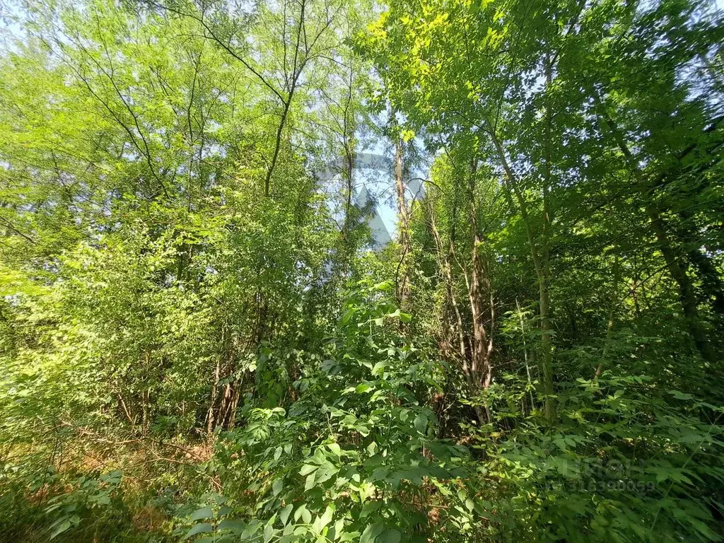 Участок в Краснодарский край, Апшеронск  (6.0 сот.) - Фото 1