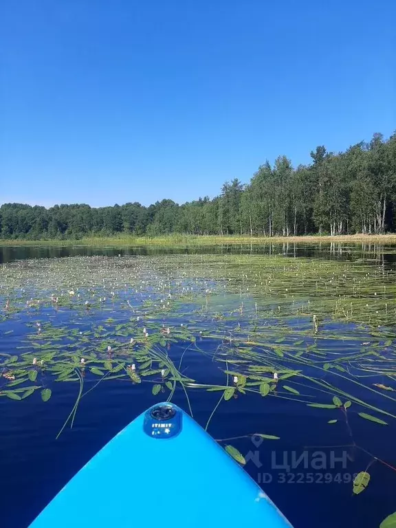 Дом в Ленинградская область, Всеволожский район, Токсовское городское ... - Фото 2