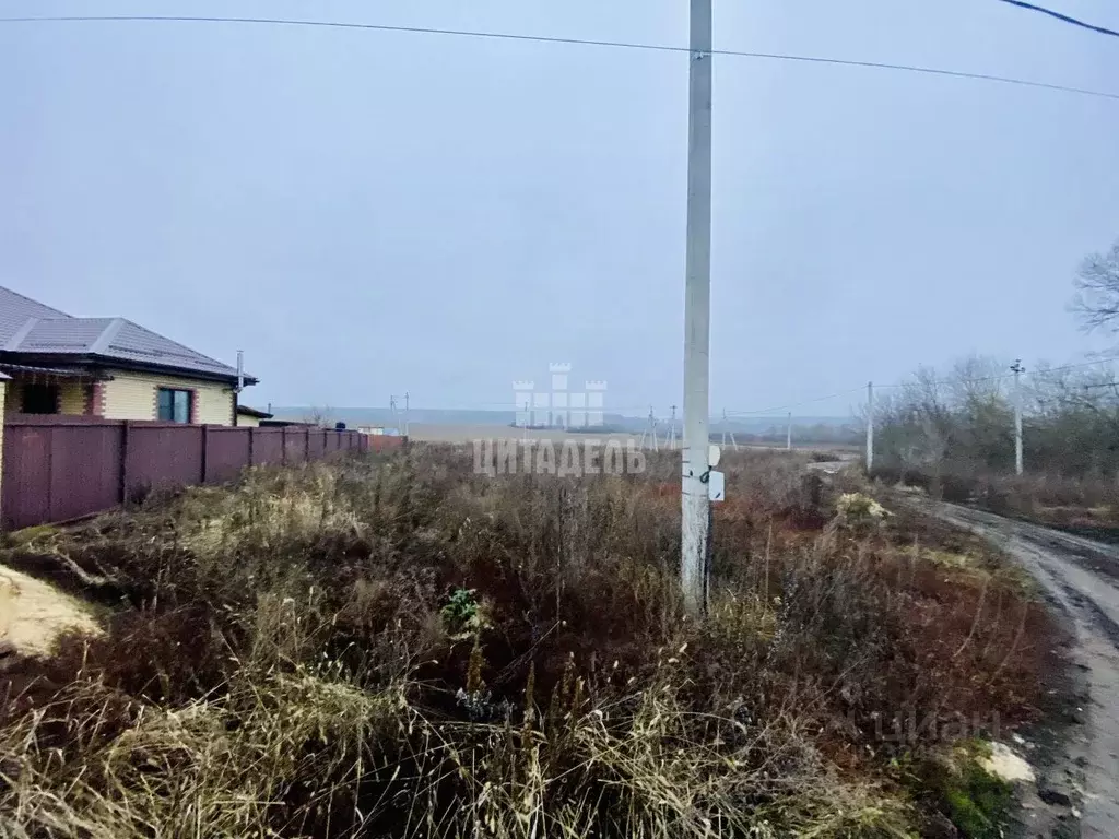 Участок в Воронежская область, Семилукский район, Губаревское с/пос, ... - Фото 1