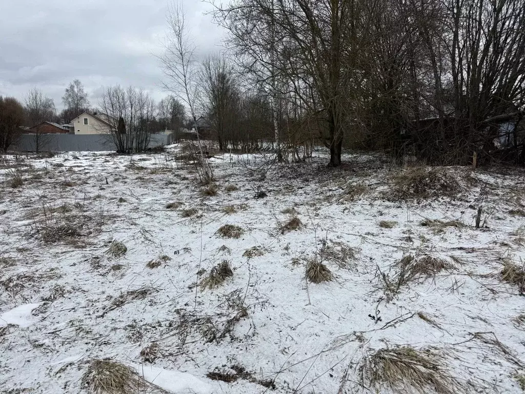 Участок в Московская область, Пушкинский городской округ, д. Цернское  ... - Фото 1