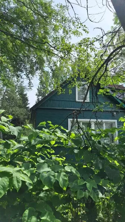 Участок в Ленинградская область, Всеволожский район, Лесколовское ... - Фото 1