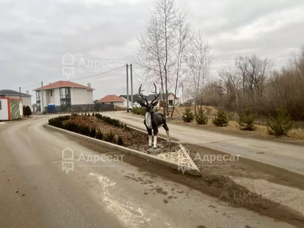 Участок в Волгоградская область, Среднеахтубинский район, ... - Фото 1