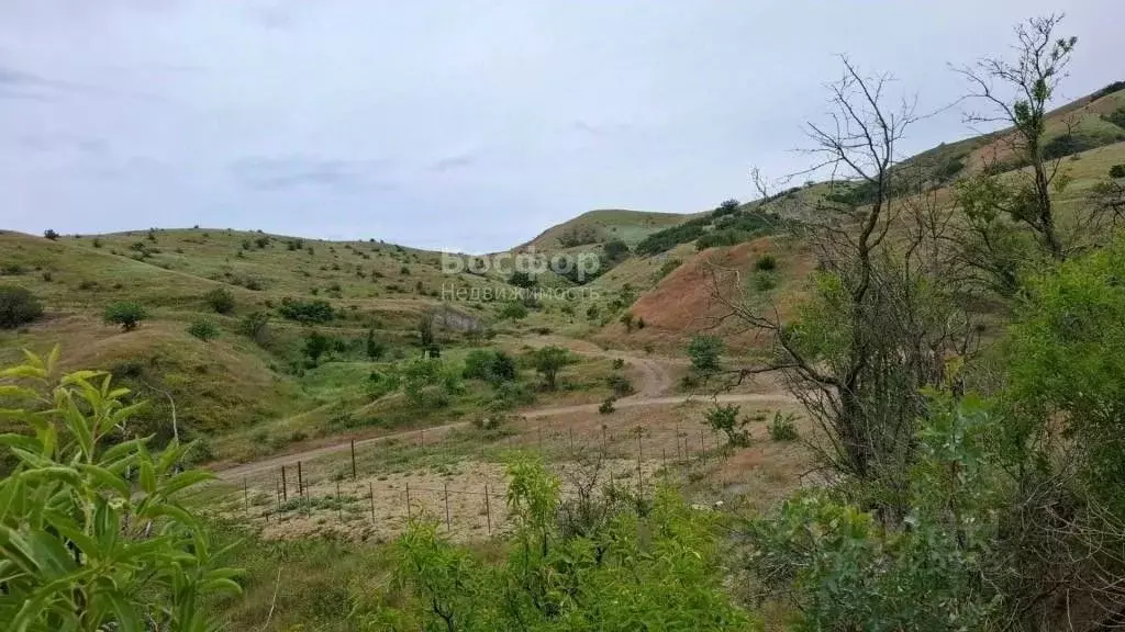 Участок в Крым, Феодосия муниципальный округ, Курортное пгт ул. ... - Фото 2