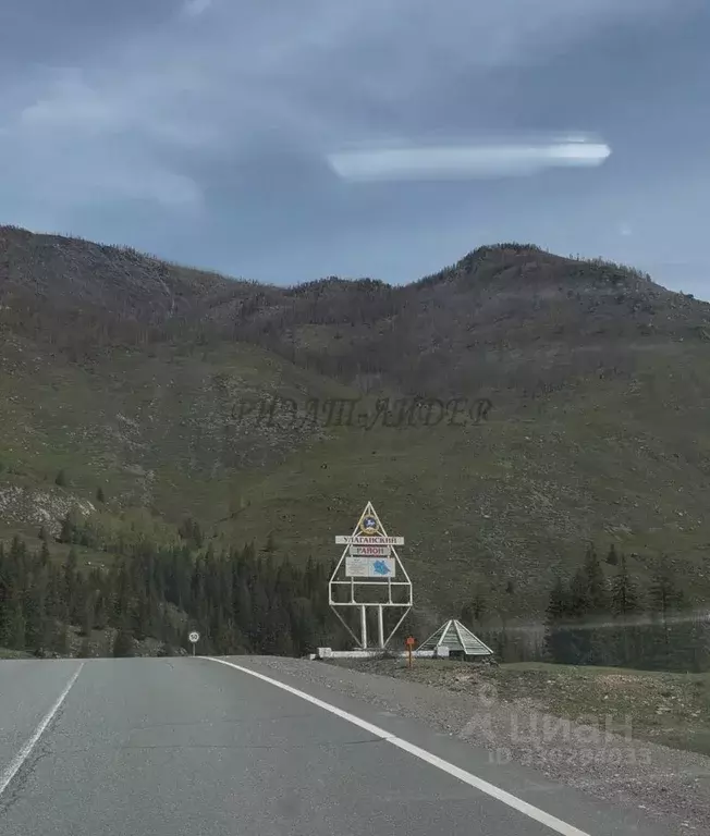 Участок в Алтай, Улаганский район, с. Чибит Молодежная ул., 29А (12.0 ... - Фото 1